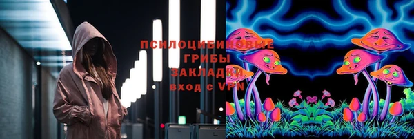 прущие грибы Верхнеуральск